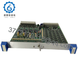 OCAHG 492838402 800164